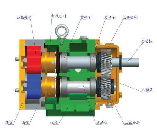 凸輪轉(zhuǎn)子泵產(chǎn)品特點和工作原理