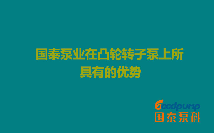 國泰泵業在凸輪轉子泵上所具有的優勢