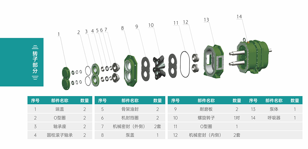 GS/DR系列凸輪轉(zhuǎn)子泵轉(zhuǎn)子部分結(jié)構(gòu)圖